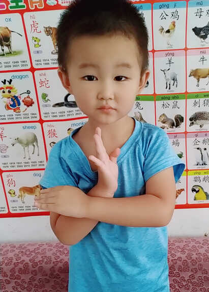 模特-