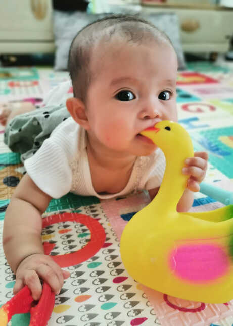 模特-