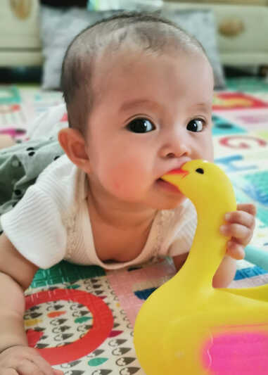 模特-