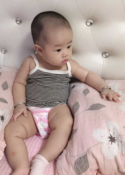 模特-