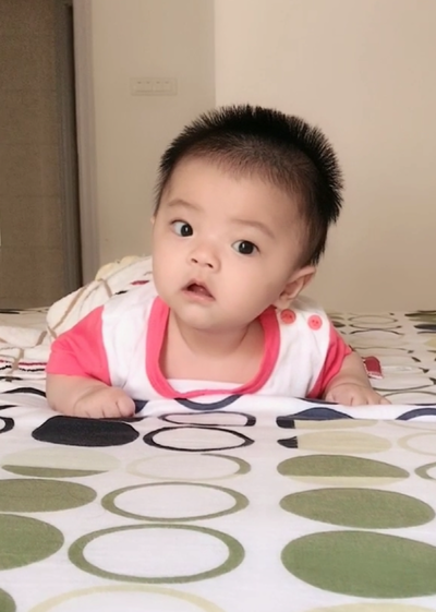 模特-