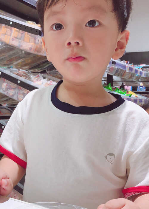 模特-