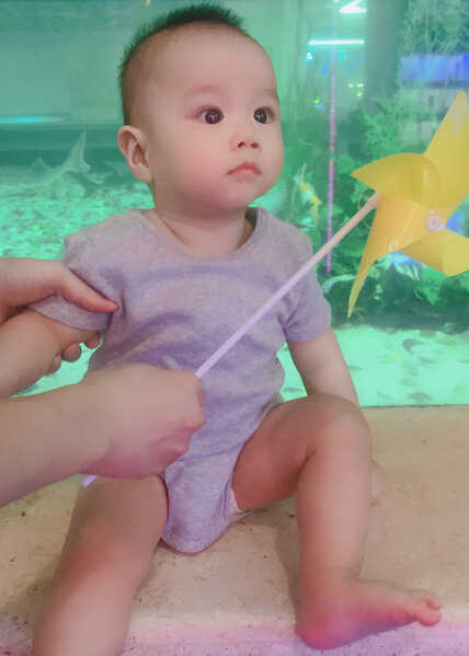 模特-