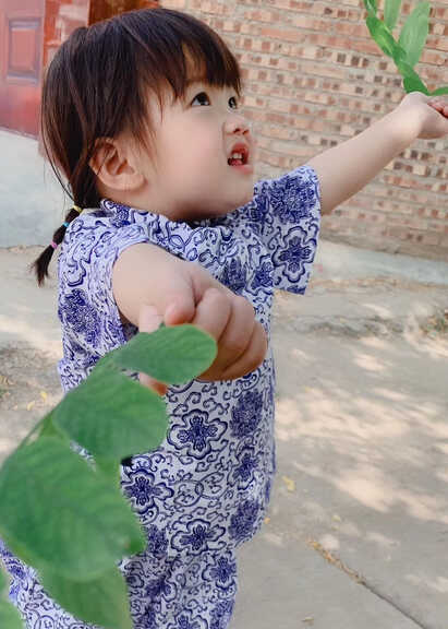 模特-