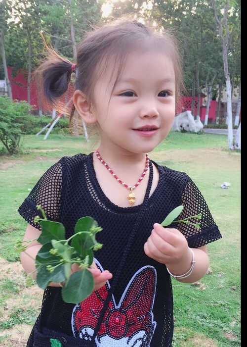 模特-