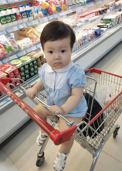 模特-