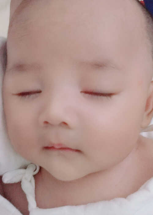 模特-