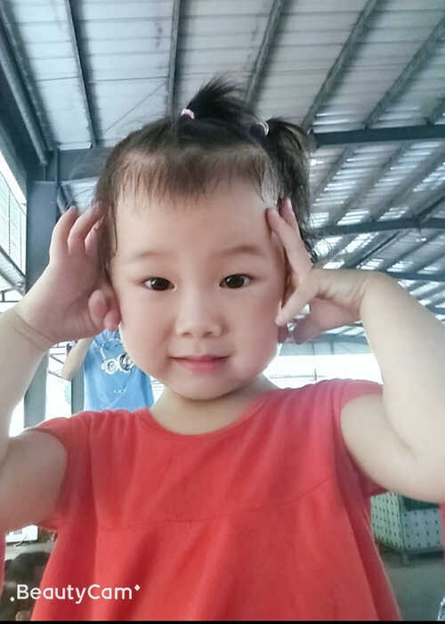 模特-