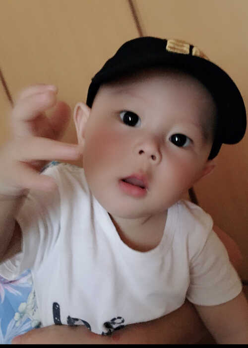 模特-