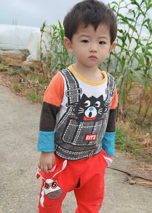 模特-