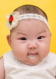 模特-