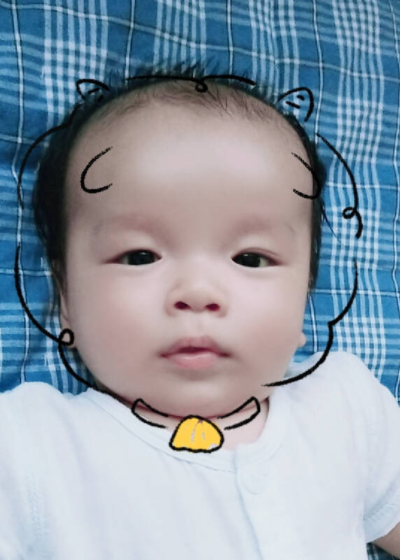 模特-