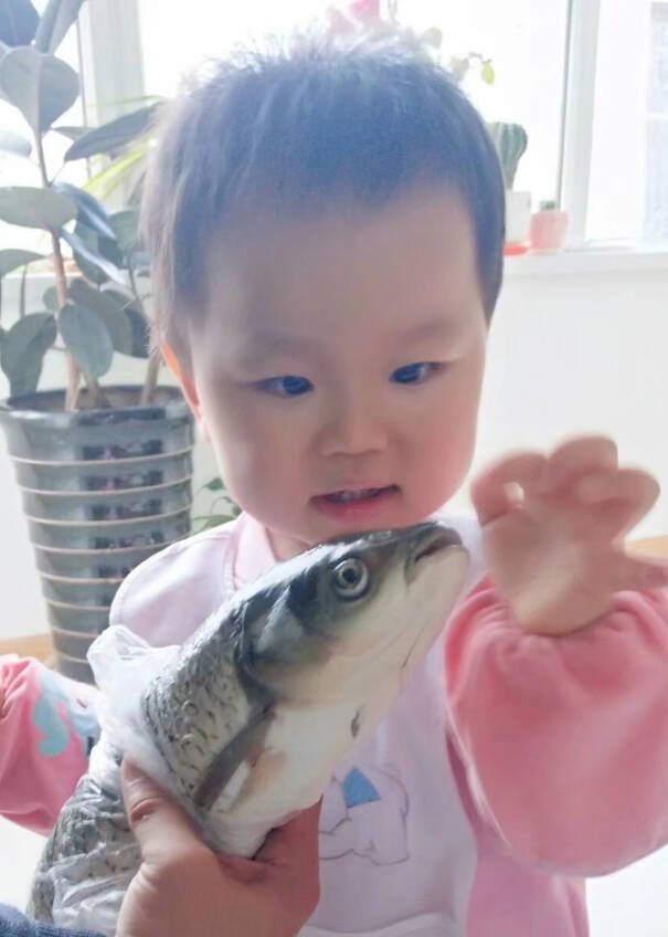 模特-