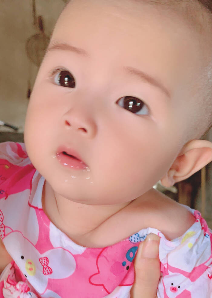 模特-