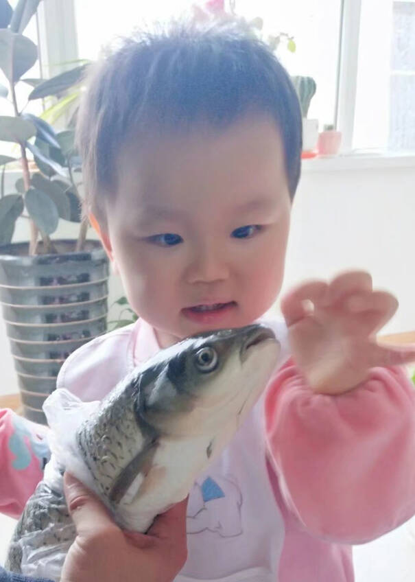 模特-