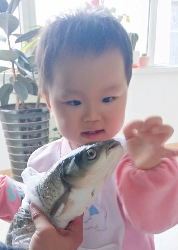 模特-