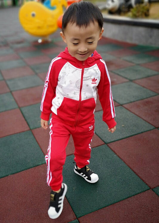 模特-
