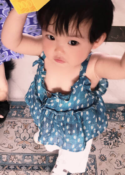 模特-