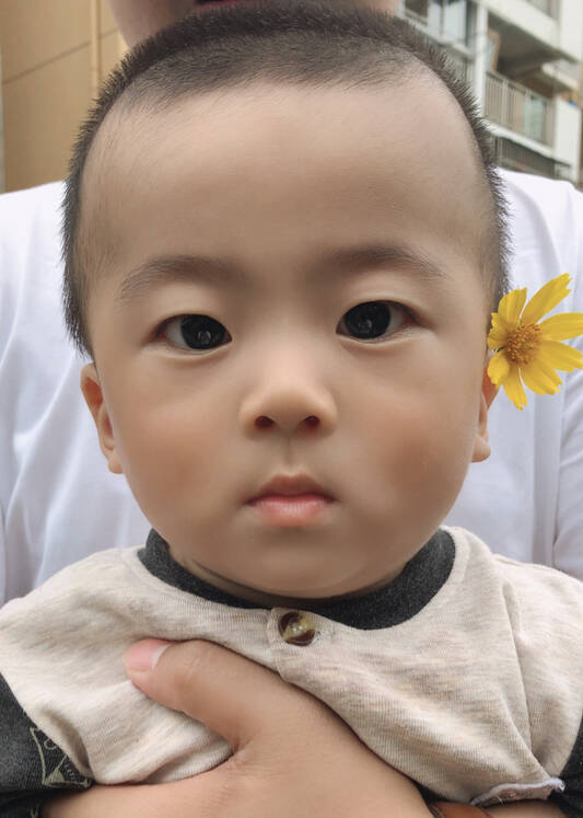 模特-