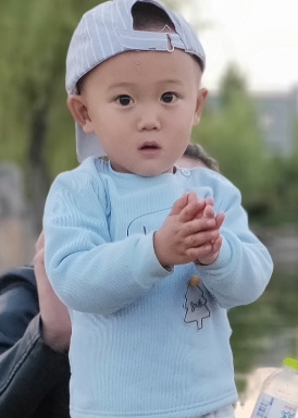 模特-