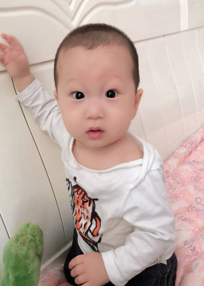 模特-