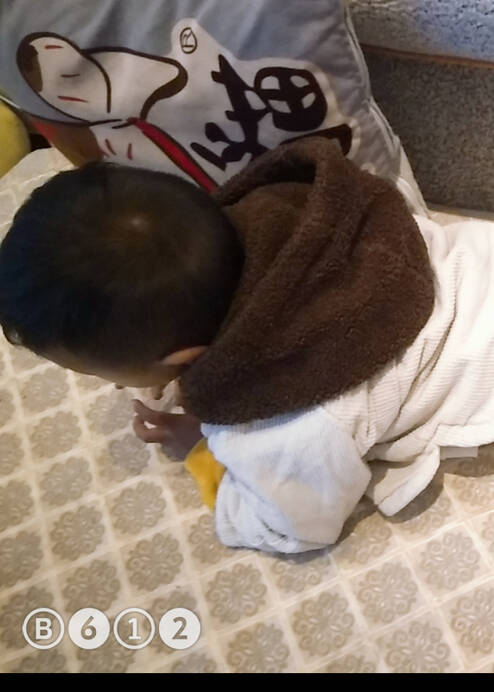 模特-