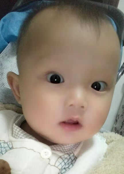 模特-