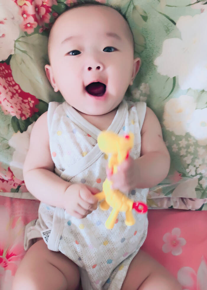 模特-