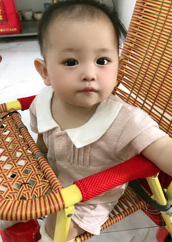 模特-
