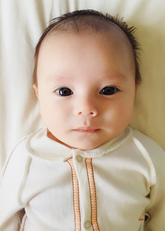 模特-