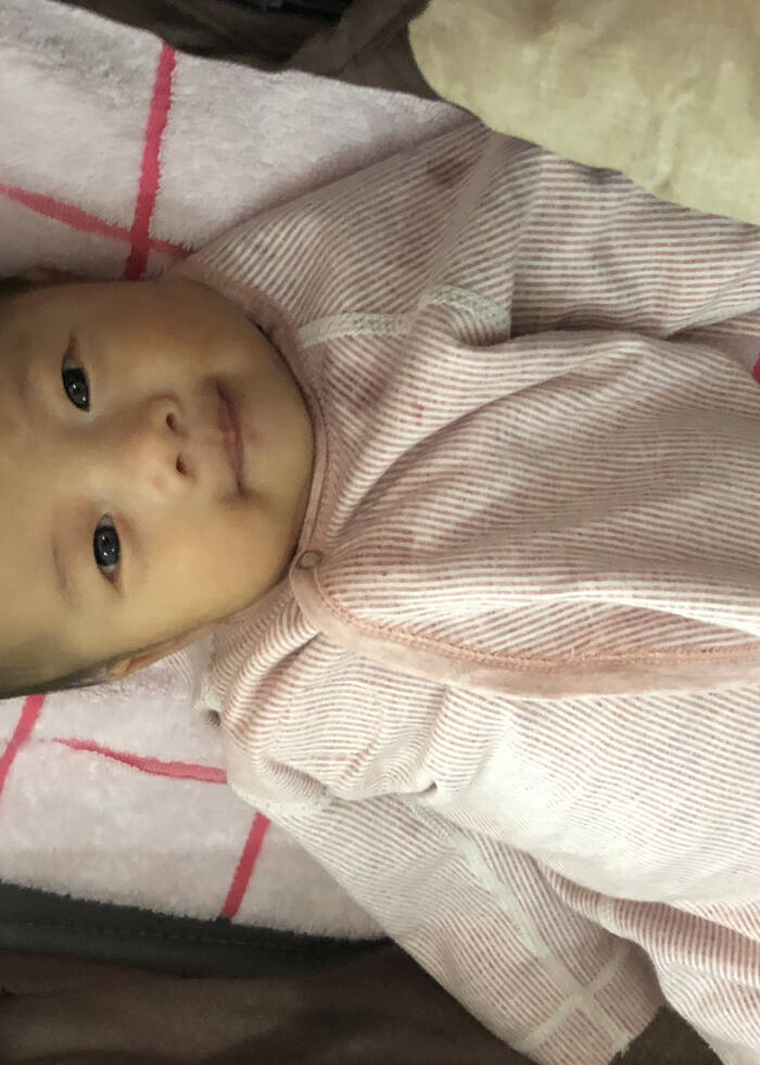 模特-