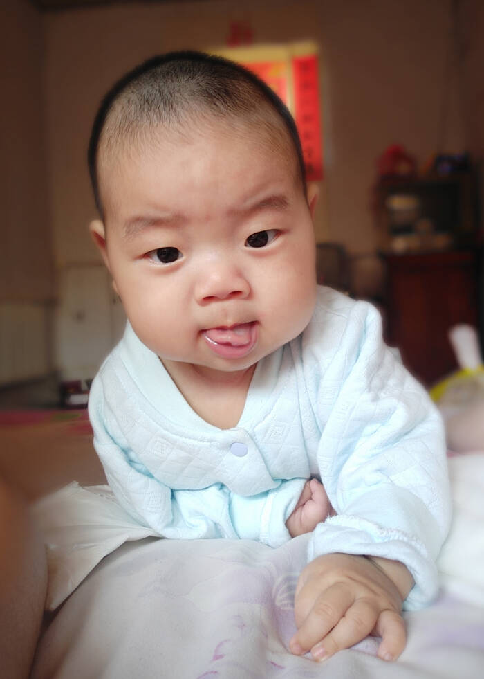 模特-