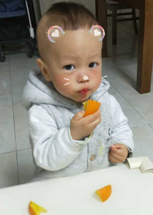 模特-