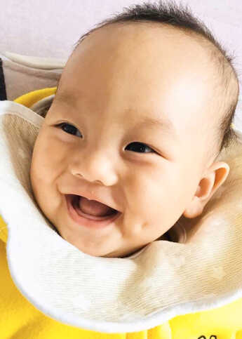 模特-