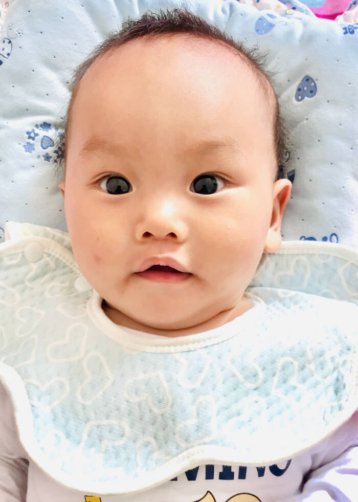 模特-