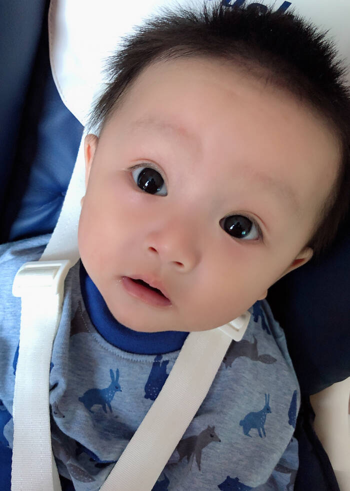 模特-