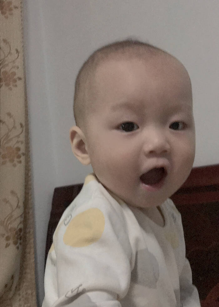 模特-