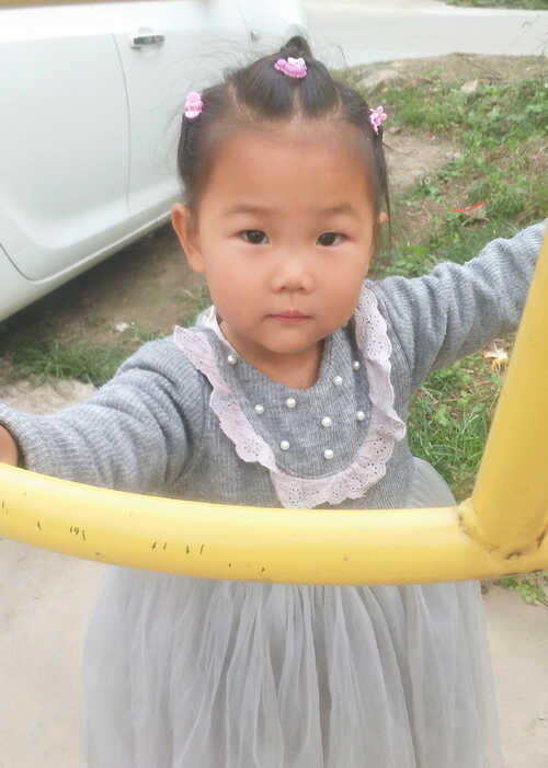 模特-