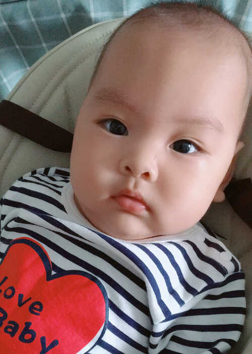 模特-