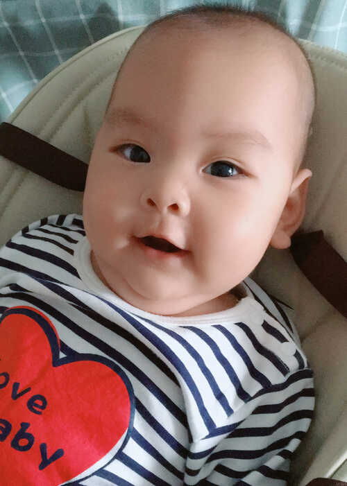 模特-
