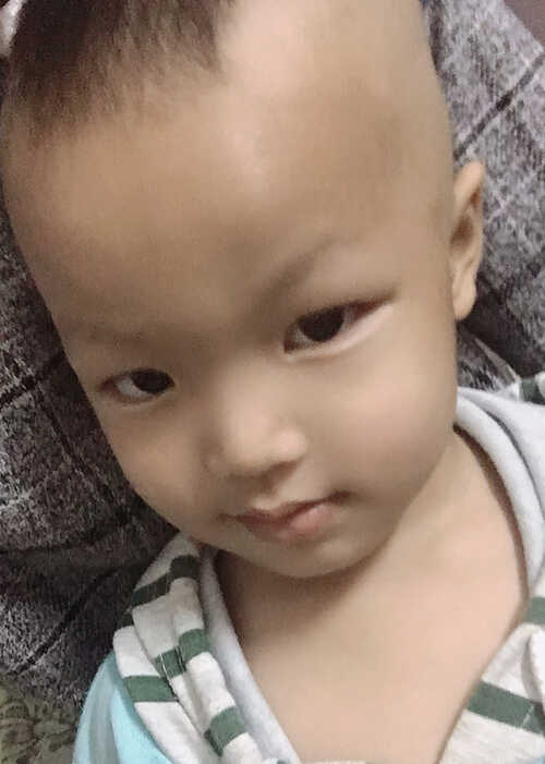 模特-