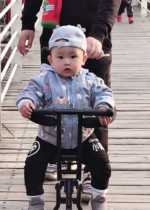 模特-