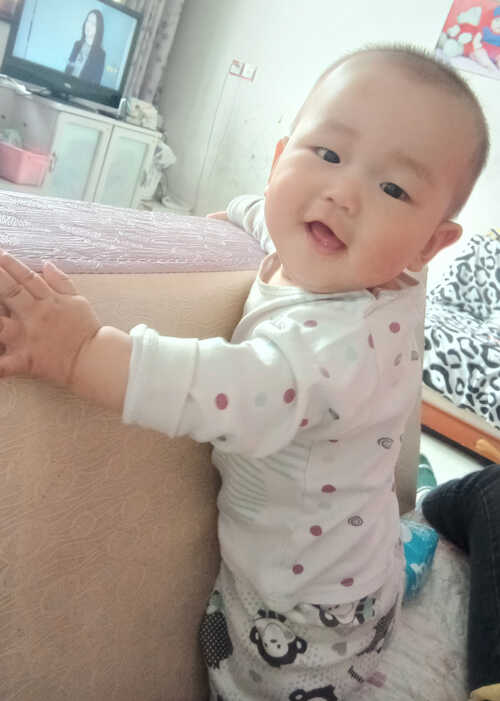 模特-