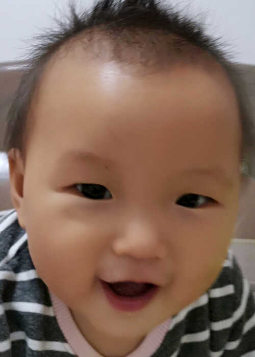 模特-