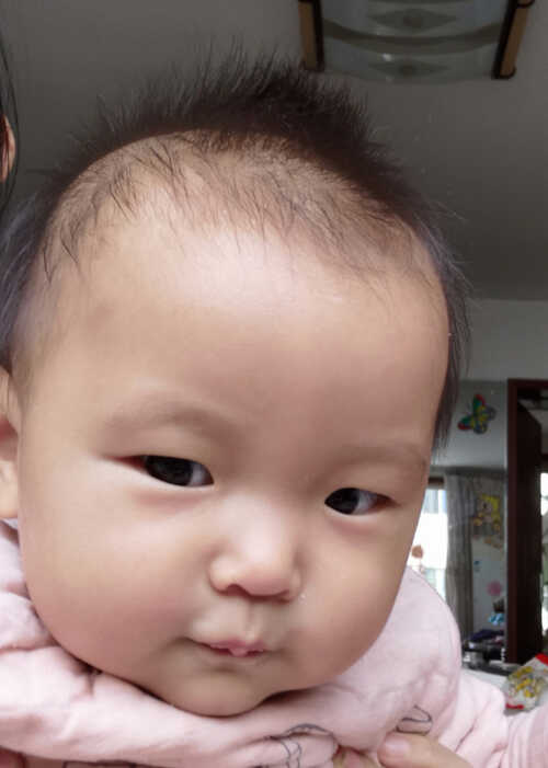模特-