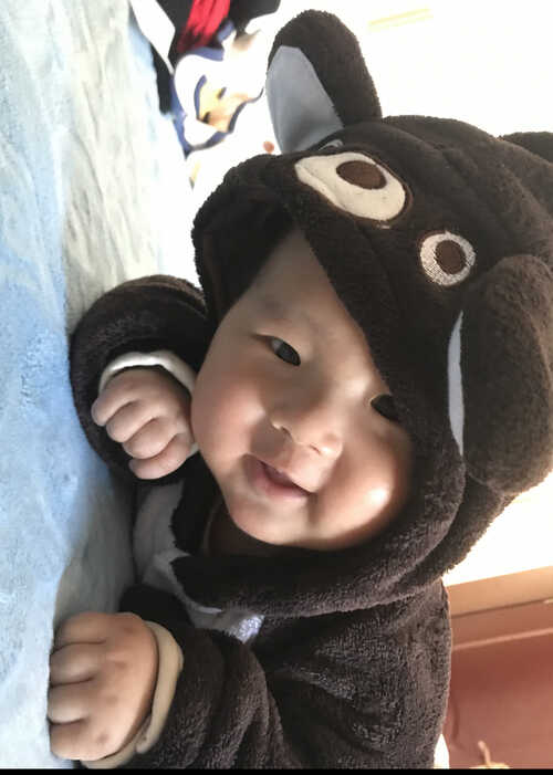 模特-