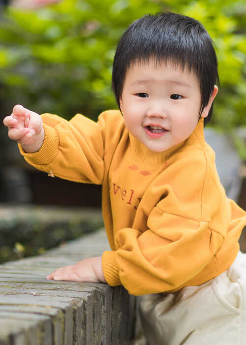 模特-
