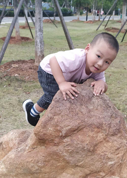 模特-
