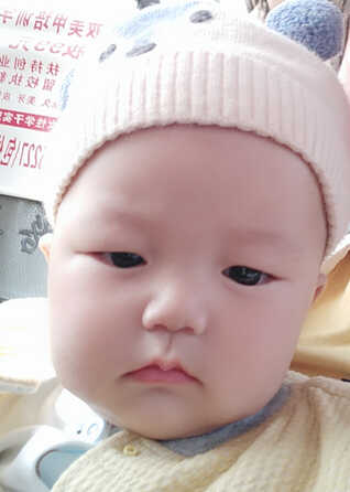 模特-