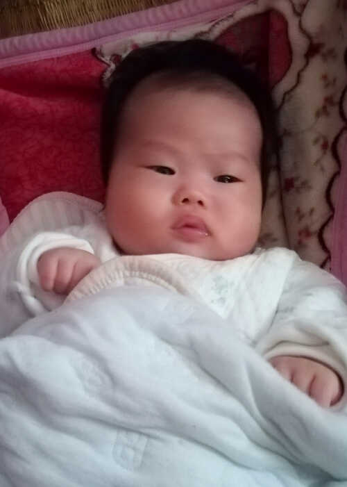 模特-